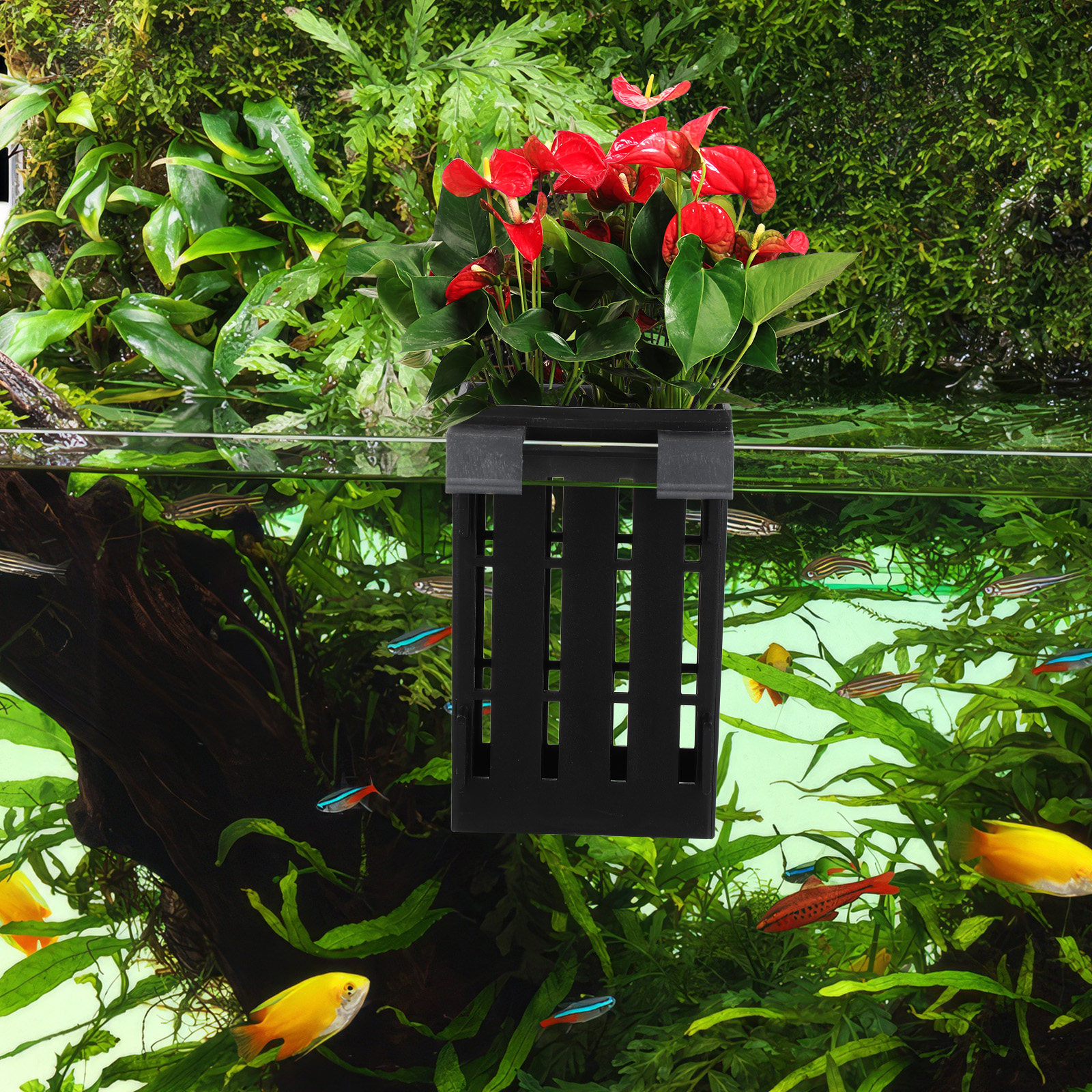 Aquarium Plant Nutrients - 4Pcs Aquatic Plant Holder Hanging Aquarium