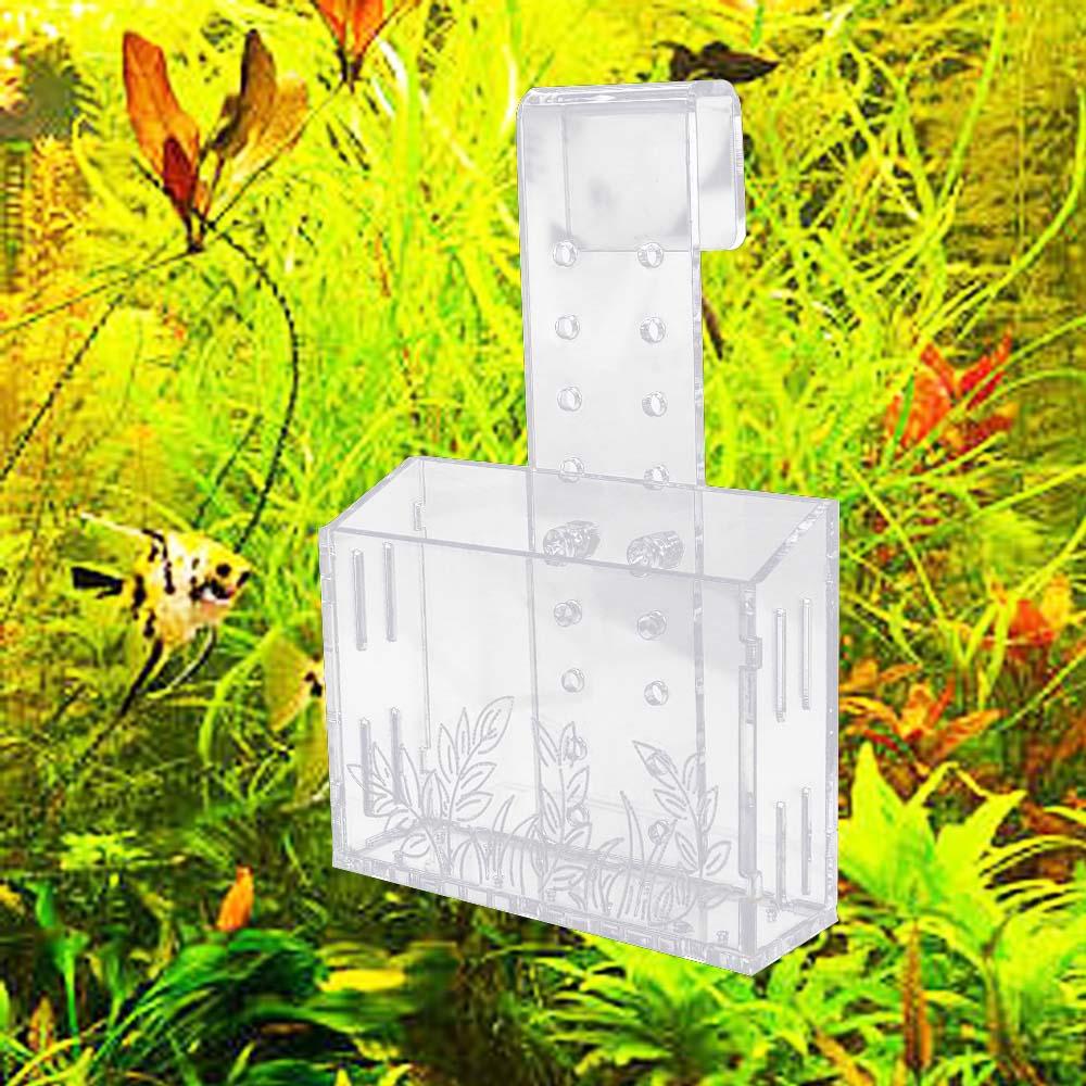 Wall Hanging Aquarium Plants C - مراجعة Aquarium Planted Wall وسعره