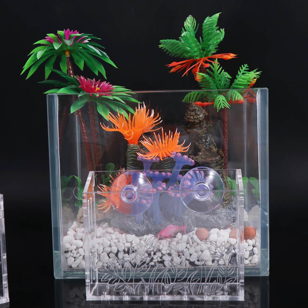 Wall Hanging Aquarium Plants C - مراجعة Aquarium Planted Wall وسعره