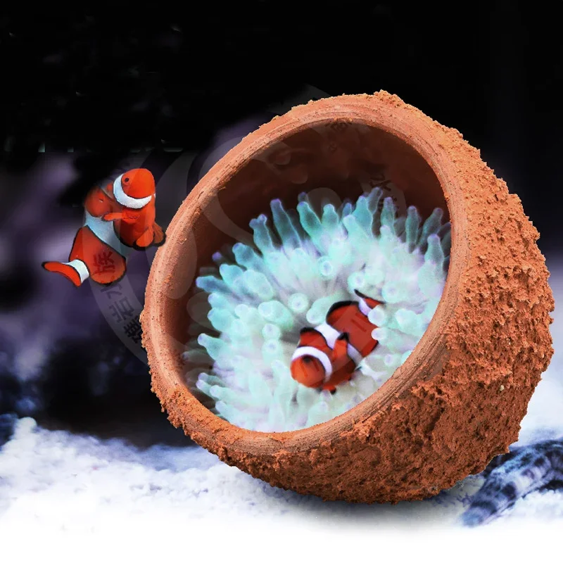Anemone Nest Prevent Running A - مراجعة Aquarium Planted Tank Soil وسعره
