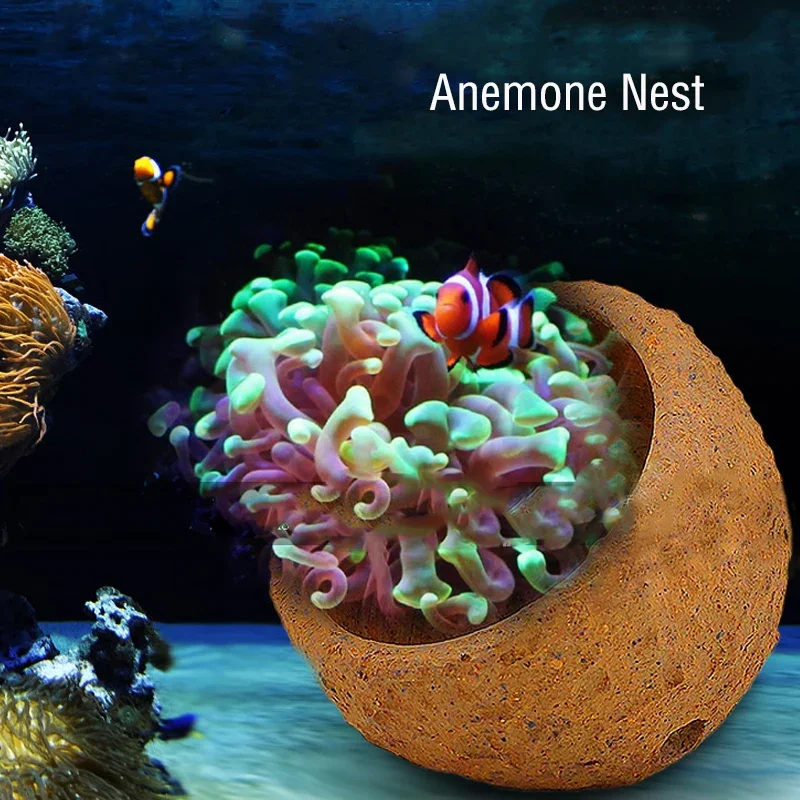 Anemone Nest Prevent Running A - مراجعة Aquarium Planted Tank Soil وسعره