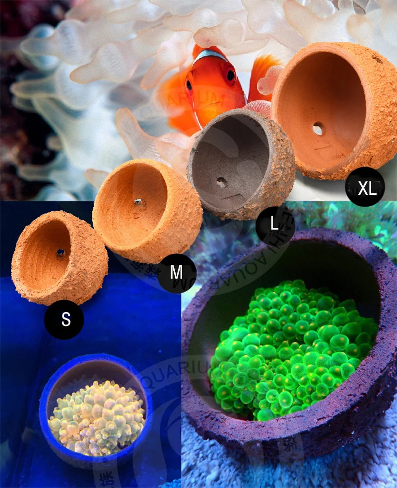 Anemone Nest Prevent Running A - مراجعة Aquarium Planted Tank Soil وسعره