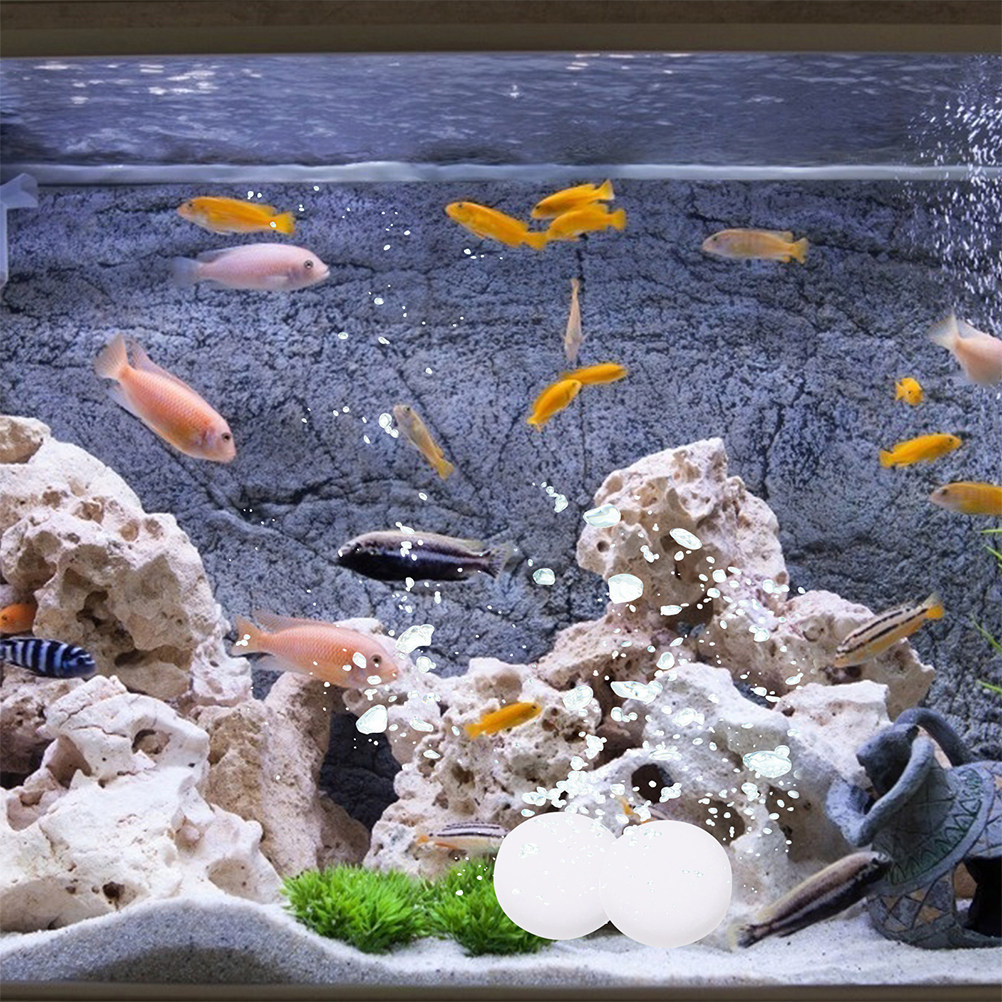 3 Bags Water-Soluble Co2 Table - مراجعة Aquarium Plant Nutrients وسعره