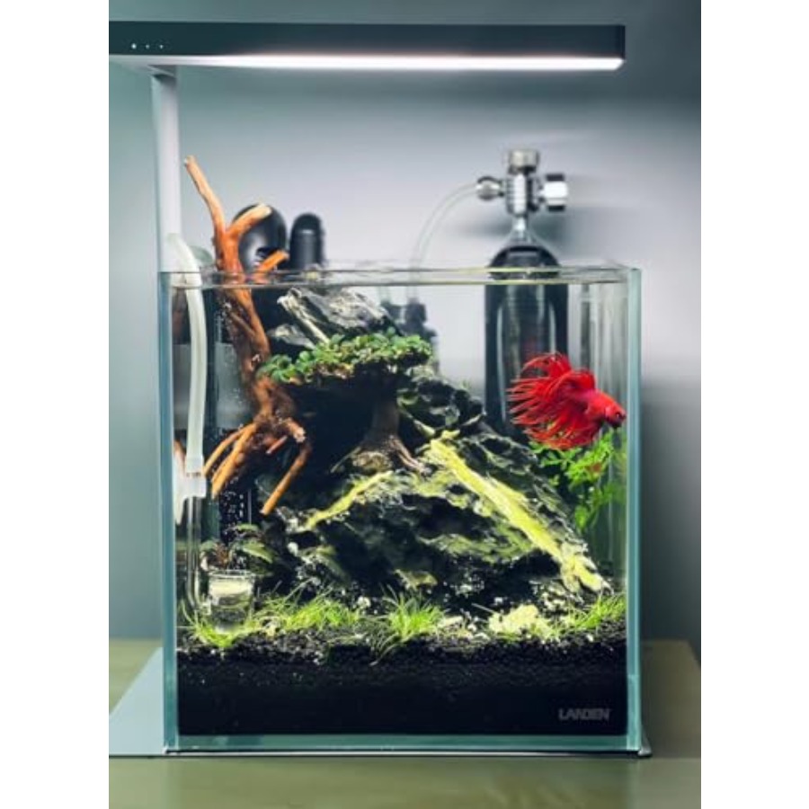 Aquarium Substrate Bundle Aqua - مراجعة Aquarium Planted Tank Soil وسعره