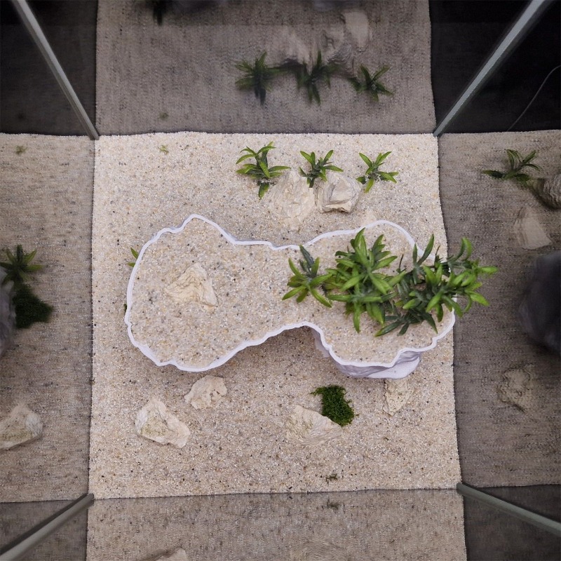 Aquarium 3D Printed Planting B - مراجعة Aquarium Planted Tank Soil وسعره