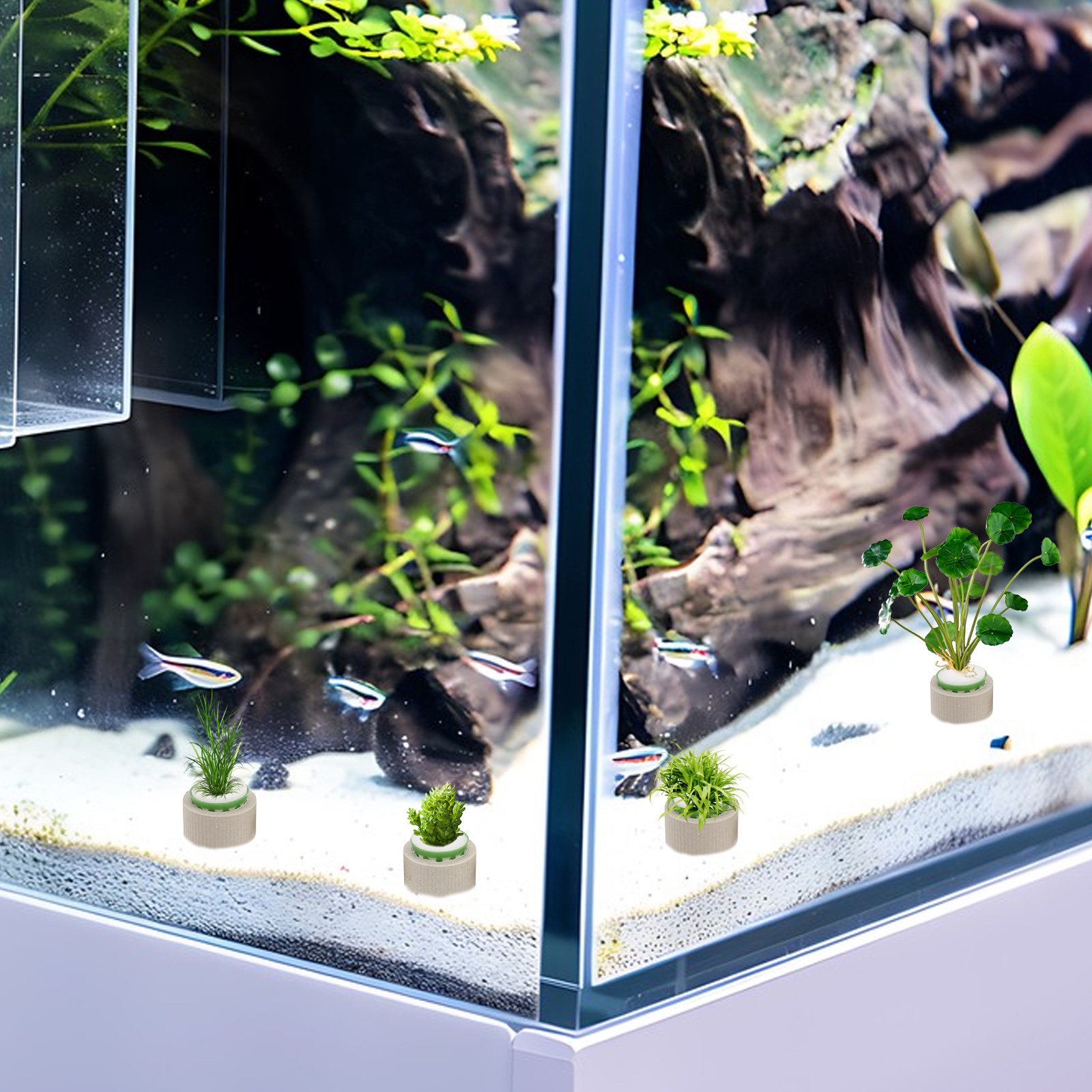 9Pcs Ceramic Aquatic Plant Hol - مراجعة Aquarium Plant Nutrients وسعره