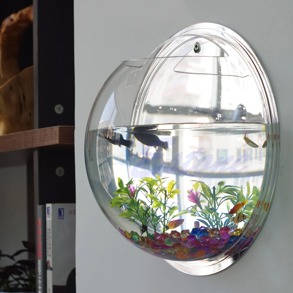 Wall Mounted Acrylic Fish Bowl - مراجعة Aquarium Planted Wall وسعره