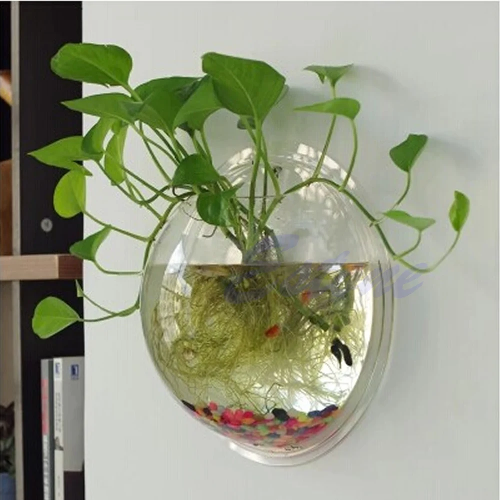 Wall Mounted Acrylic Fish Bowl - مراجعة Aquarium Planted Wall وسعره