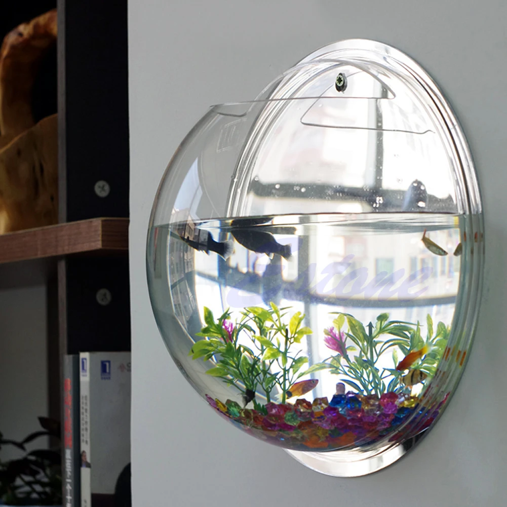Wall Mounted Acrylic Fish Bowl - مراجعة Aquarium Planted Wall وسعره