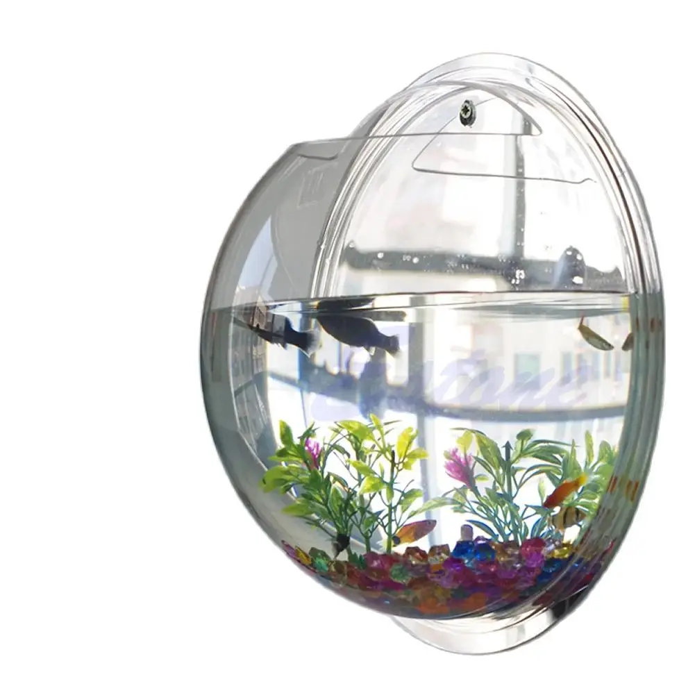 Wall Mounted Acrylic Fish Bowl - مراجعة Aquarium Planted Wall وسعره