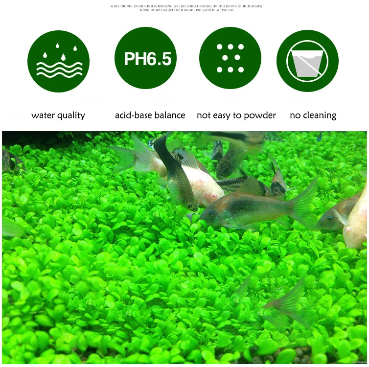 Fish Tank Water Grass Mud Plan - مراجعة Aquarium Plant Nutrients وسعره