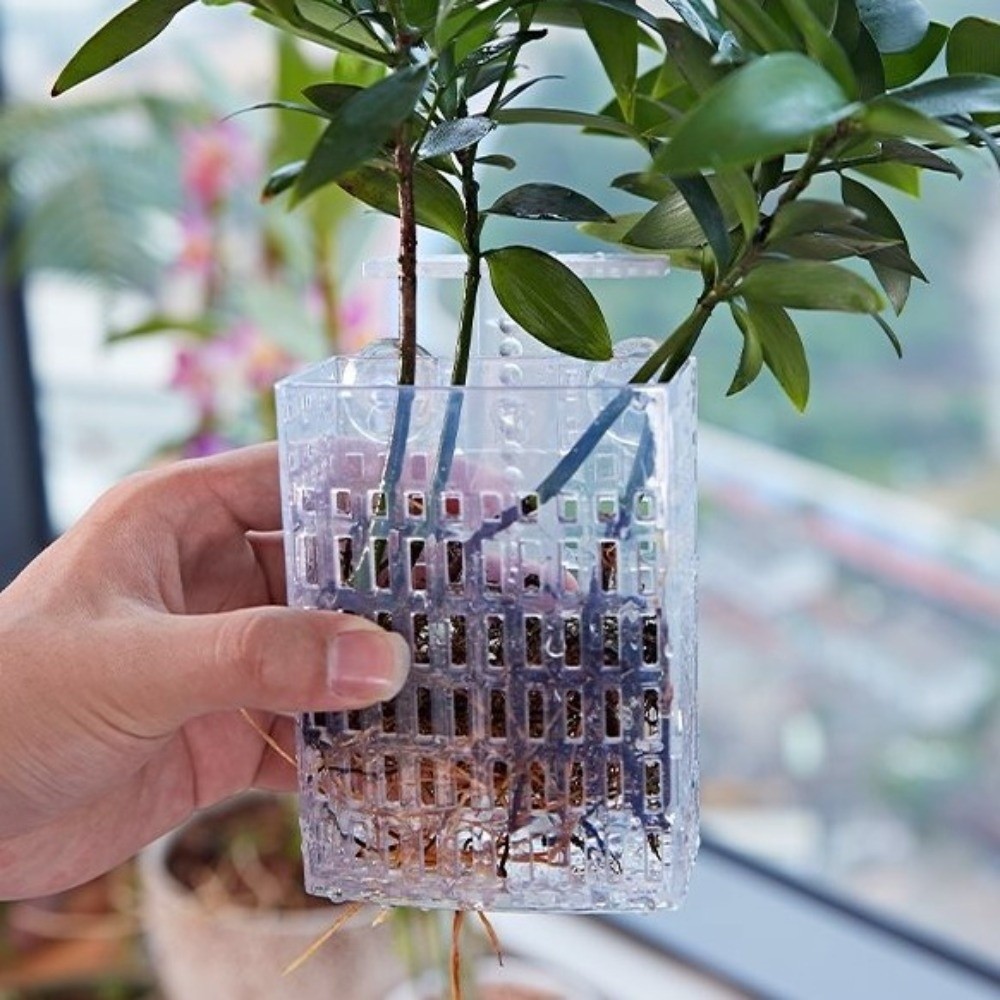 Wall Hanging Aquatic Plant Hol - مراجعة Aquarium Planted Wall وسعره