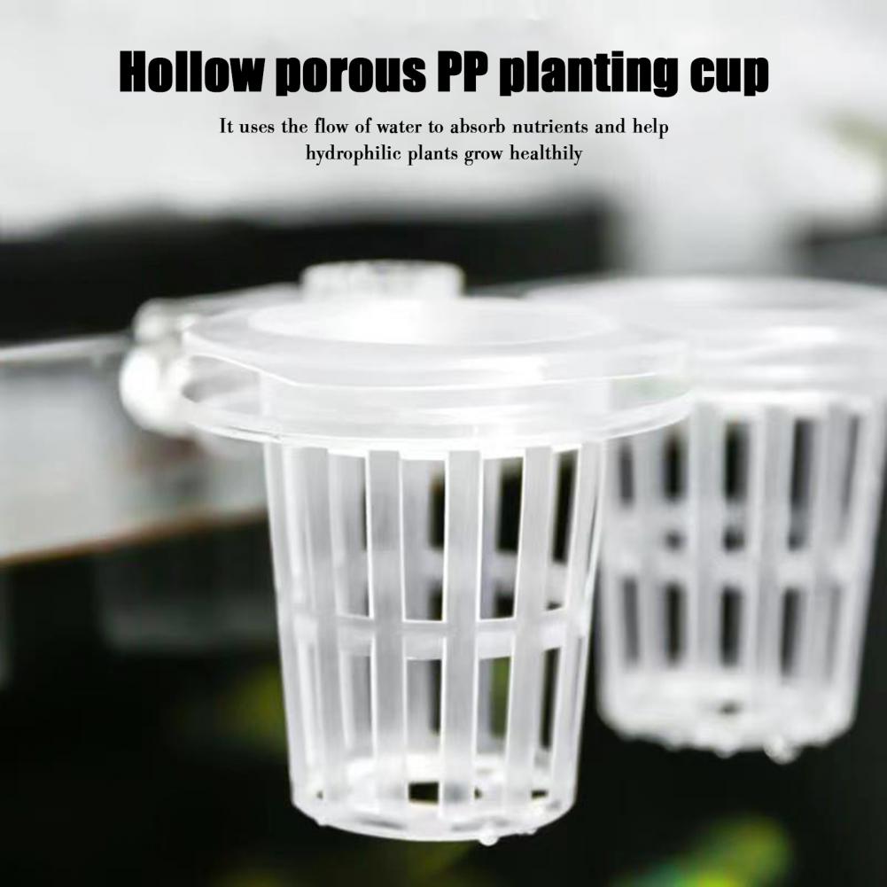 Aquarium Plant Holder Wall-Mou - مراجعة Aquarium Planted Wall وسعره