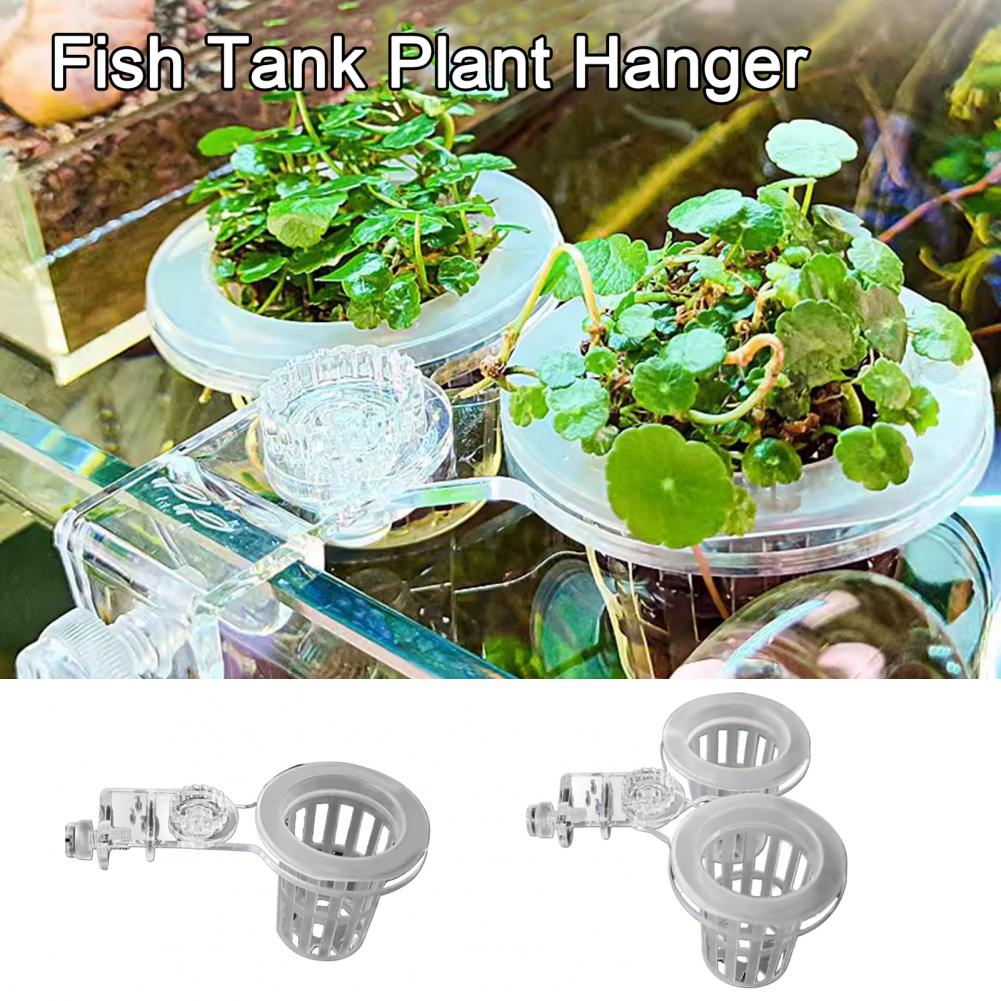 Aquarium Plant Holder Wall-Mou - مراجعة Aquarium Planted Wall وسعره