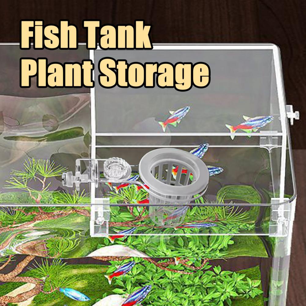 Aquarium Plant Holder Wall-Mou - مراجعة Aquarium Planted Wall وسعره