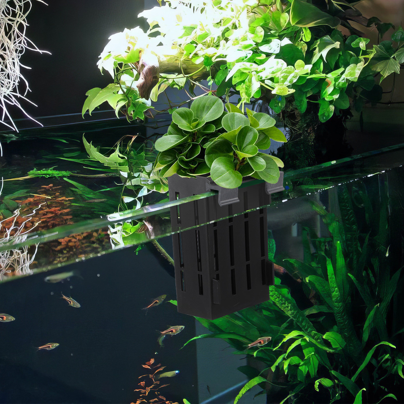 4Pcs Aquarium Plant Holder Han - مراجعة Aquarium Plant Nutrients وسعره