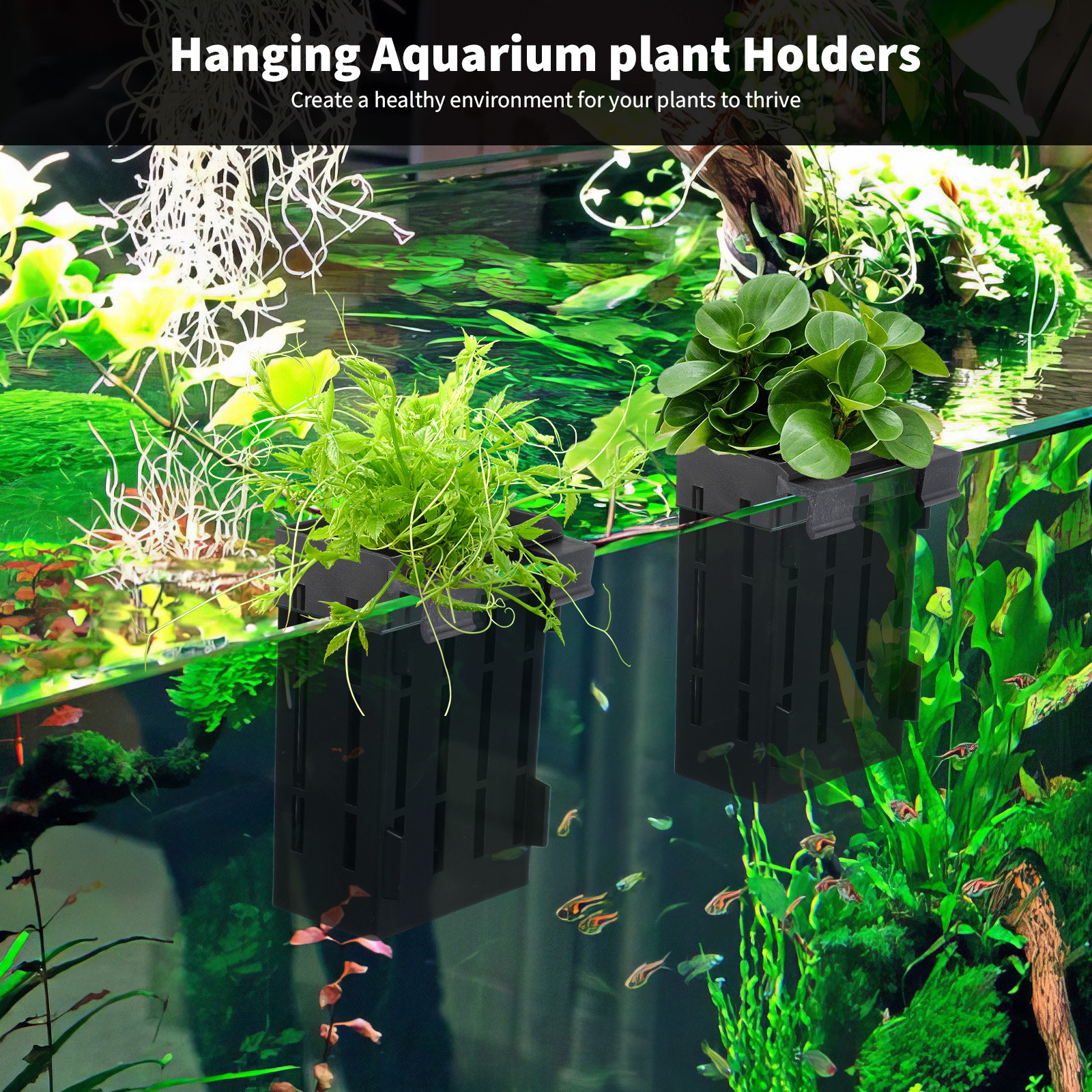 4Pcs Aquarium Plant Holder Han - مراجعة Aquarium Plant Nutrients وسعره