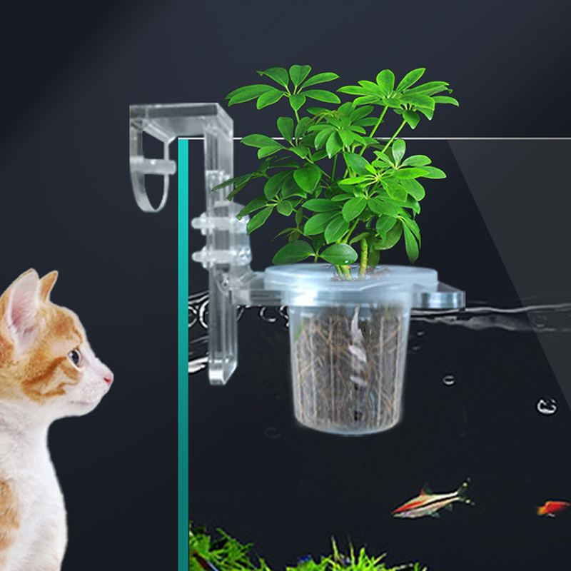 Fish Tank Planting Cups Hydrop - مراجعة Aquarium Planted Wall وسعره