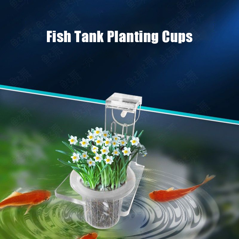 Fish Tank Planting Cups Hydrop - مراجعة Aquarium Planted Wall وسعره