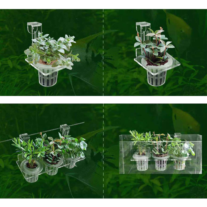 Fish Tank Planting Cups Hydrop - مراجعة Aquarium Planted Wall وسعره