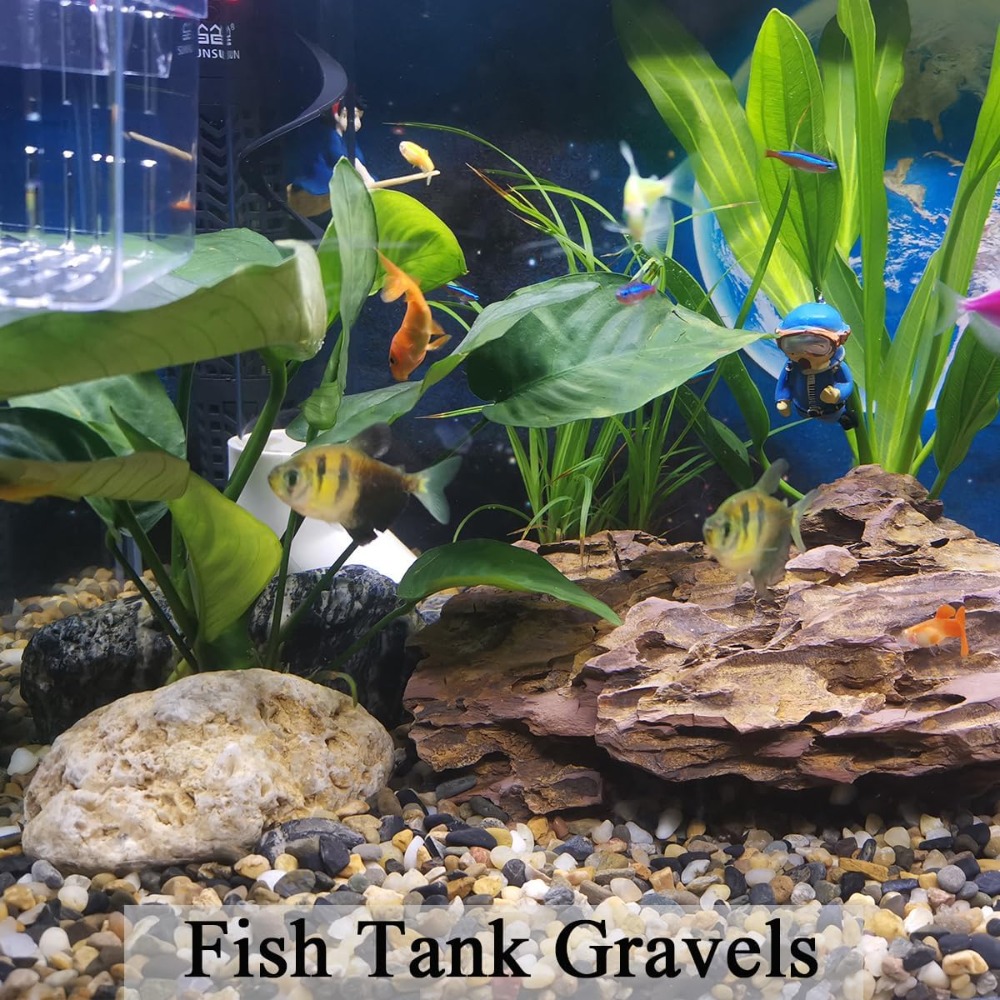 5 lbs Aquarium Gravel, Pea Gra - مراجعة Aquarium Planted Tank Soil وسعره