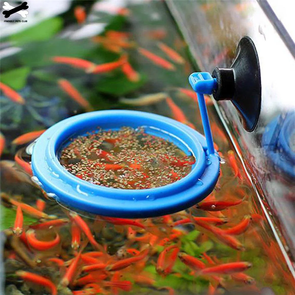 Aquarium Feeding Ring Fish Tan - مراجعة Aquarium Plant Nutrients وسعره