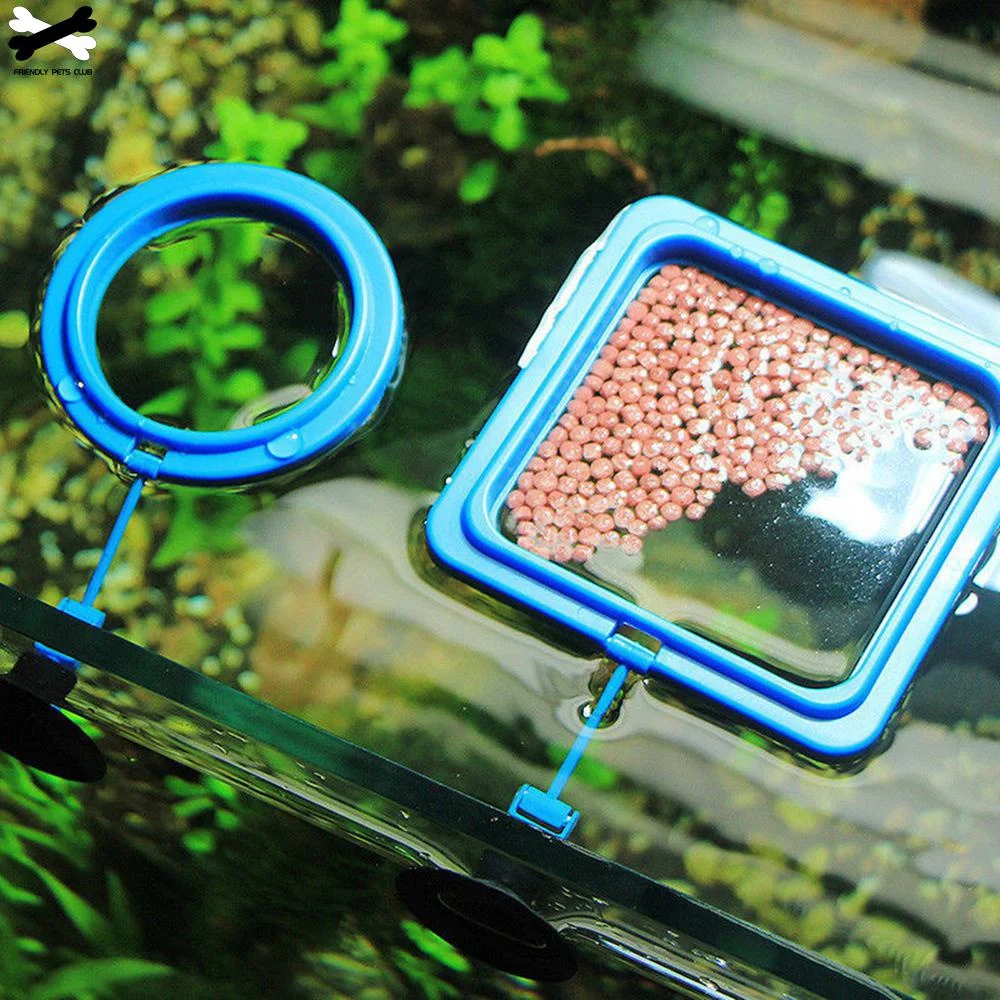 Aquarium Feeding Ring Fish Tan - مراجعة Aquarium Plant Nutrients وسعره