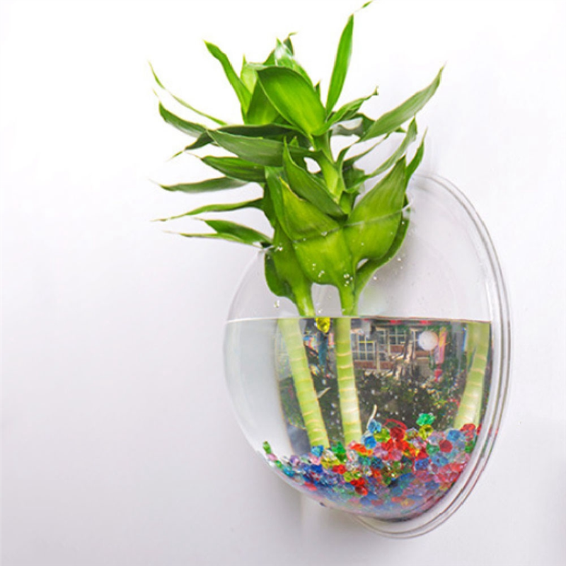 A26F-Transparent Plant Pot Wal - مراجعة Aquarium Planted Wall وسعره