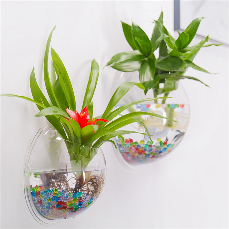 A26F-Transparent Plant Pot Wal - مراجعة Aquarium Planted Wall وسعره