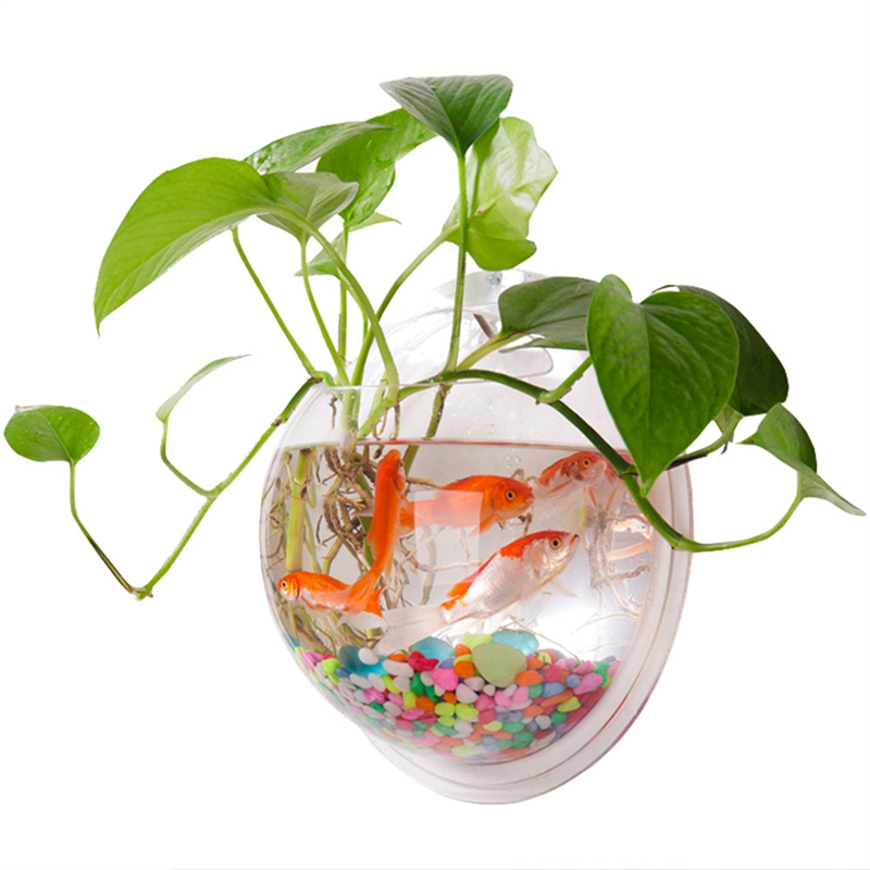 A26F-Transparent Plant Pot Wal - مراجعة Aquarium Planted Wall وسعره