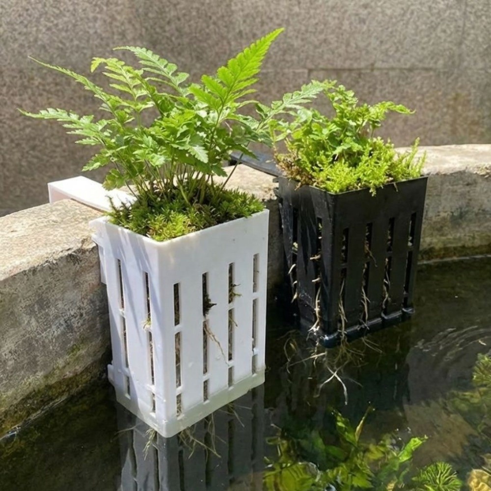 Wall-Mounted Aquarium Plant Ba - مراجعة Aquarium Planted Wall وسعره