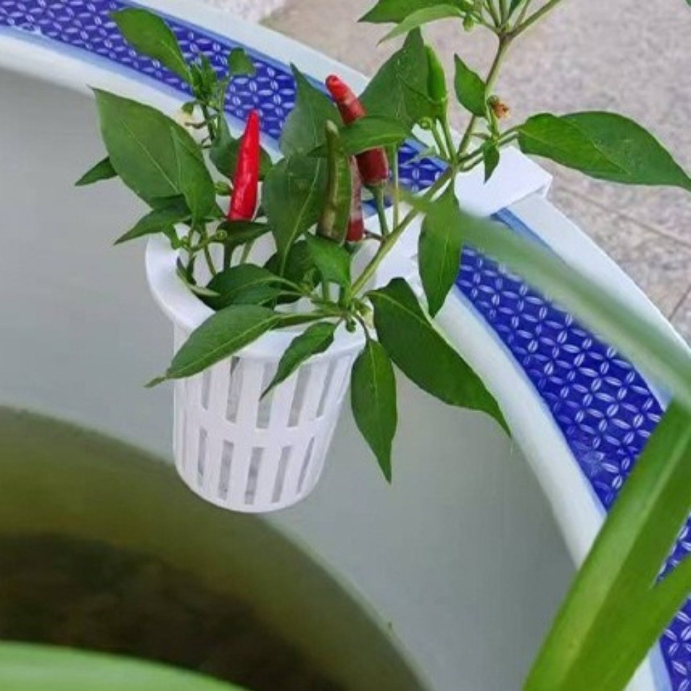 Wall-Mounted Aquarium Plant Ba - مراجعة Aquarium Planted Wall وسعره