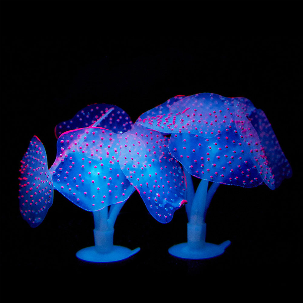 1Pcs Luminous Anemone Artifici - مراجعة Aquarium For Planted Tank وسعره