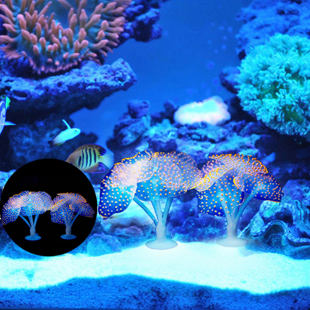 1Pcs Luminous Anemone Artifici - مراجعة Aquarium For Planted Tank وسعره
