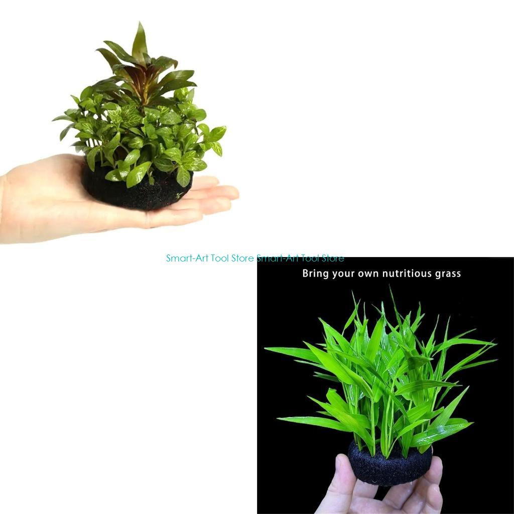 E1PB Nutrient Rich Resin Subst - مراجعة Aquarium Plant Nutrients وسعره