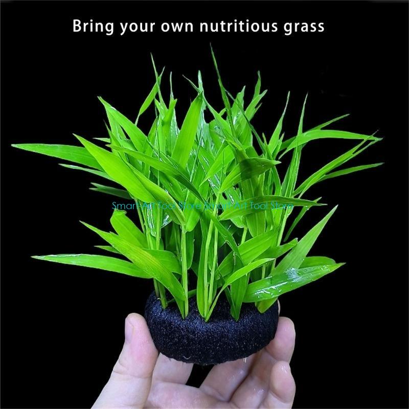 E1PB Nutrient Rich Resin Subst - مراجعة Aquarium Plant Nutrients وسعره