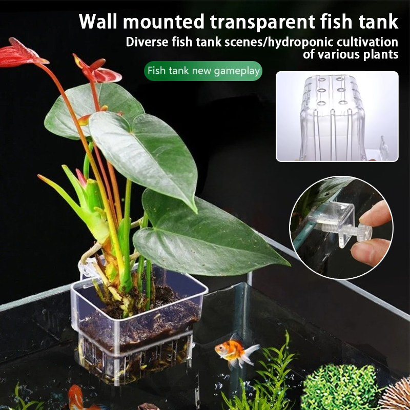 Aquarium Hanging Planter Cups  - مراجعة Aquarium Planted Wall وسعره