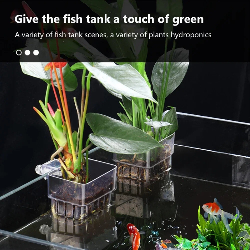 Aquarium Hanging Planter Cups  - مراجعة Aquarium Planted Wall وسعره