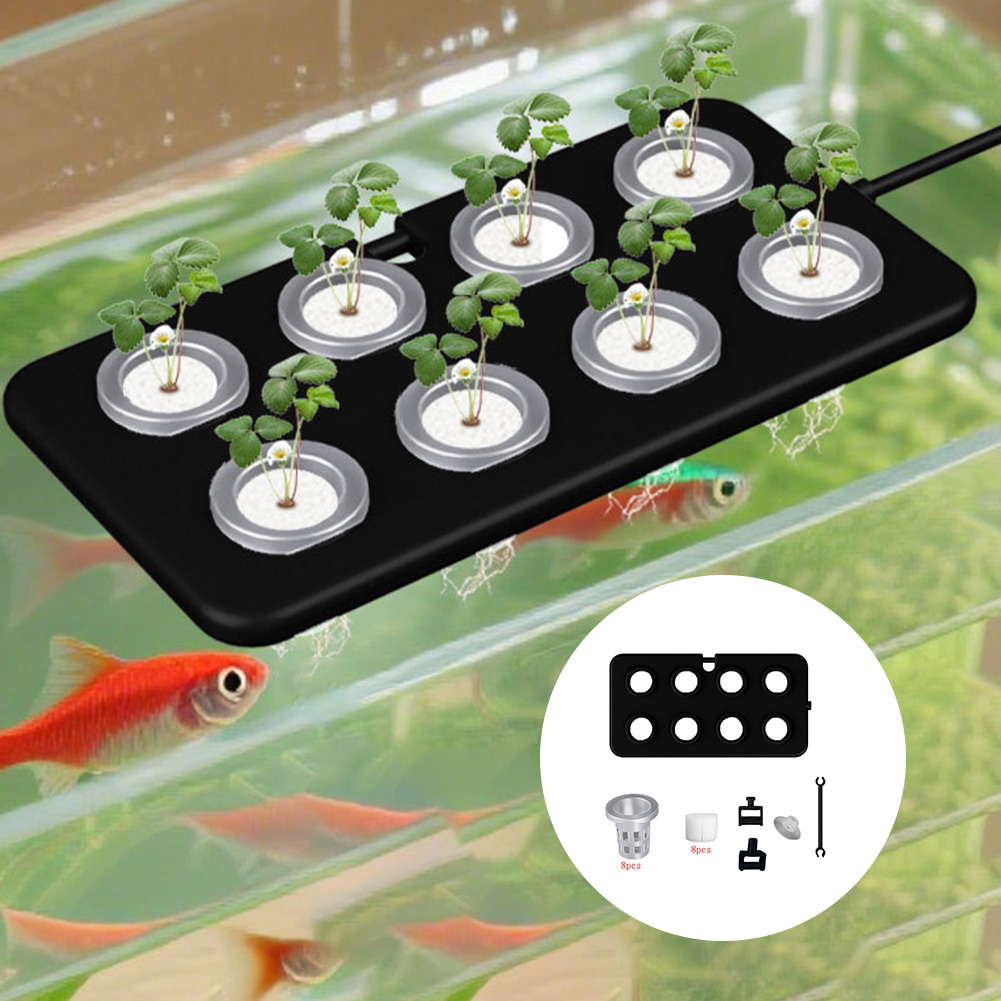 Aquatic Floating Planting Boar - مراجعة Aquarium Planted Wall وسعره