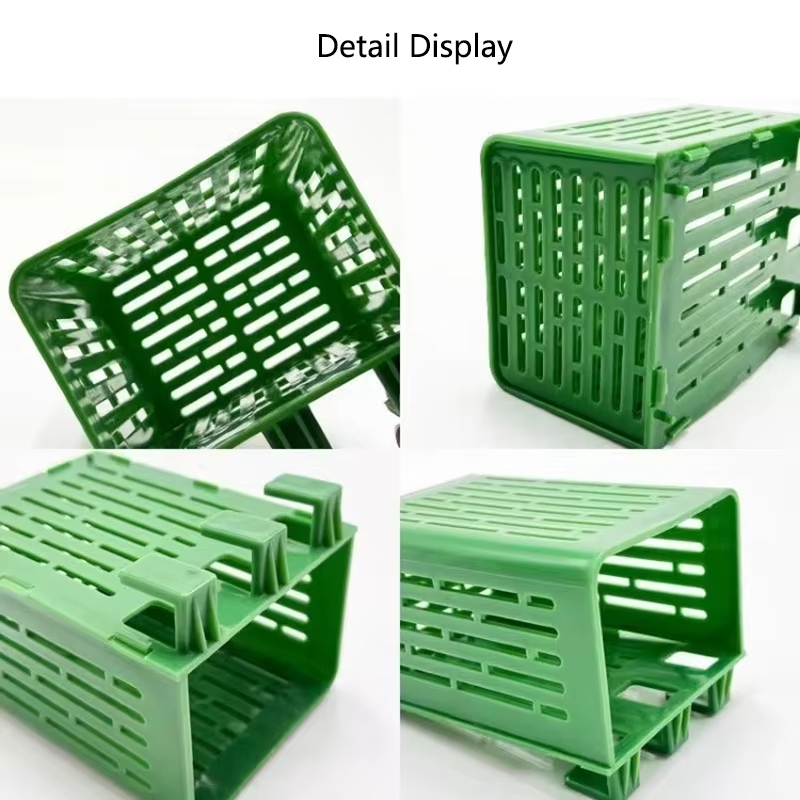 Fish Tank Water Grass Cup Aqua - مراجعة Aquarium Planted Wall وسعره