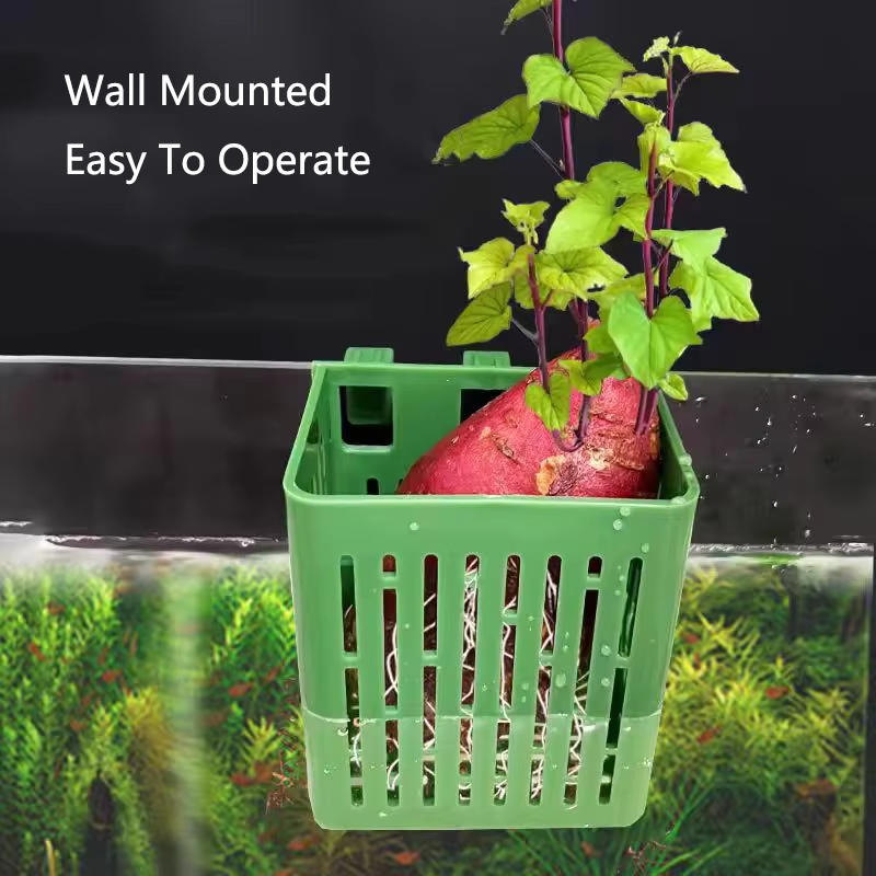 Fish Tank Water Grass Cup Aqua - مراجعة Aquarium Planted Wall وسعره