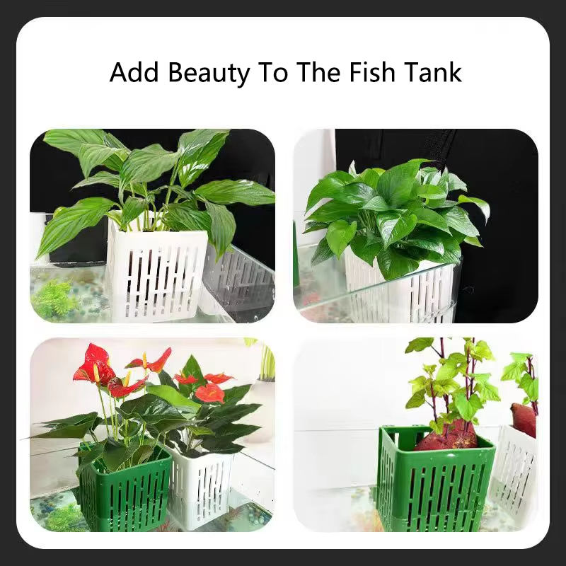 Fish Tank Water Grass Cup Aqua - مراجعة Aquarium Planted Wall وسعره