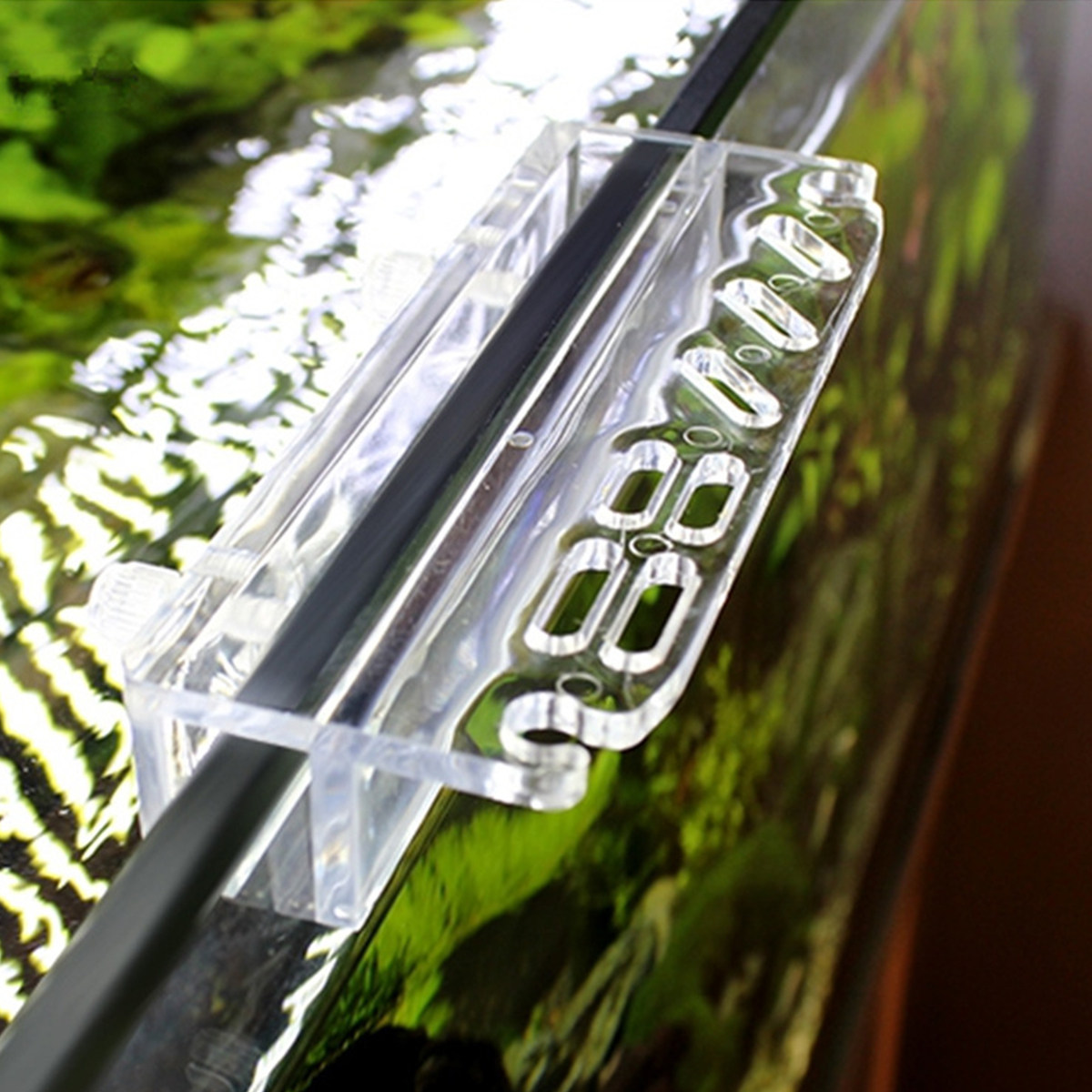 Acrylic Aquarium Tool Holder R - مراجعة Aquarium Planted Wall وسعره