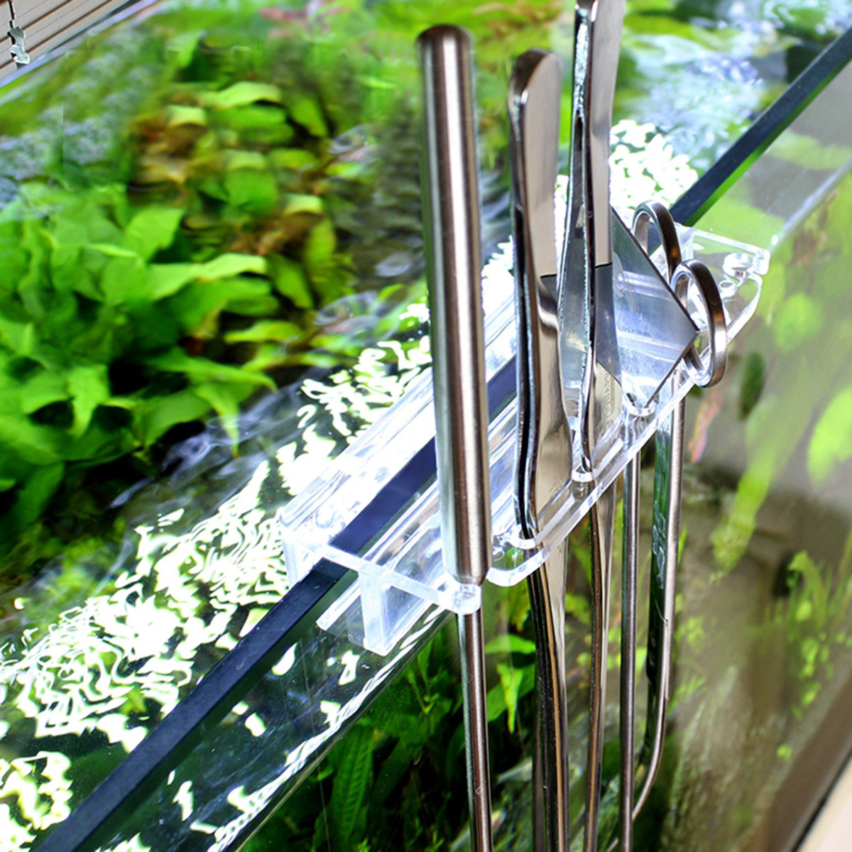 Acrylic Aquarium Tool Holder R - مراجعة Aquarium Planted Wall وسعره
