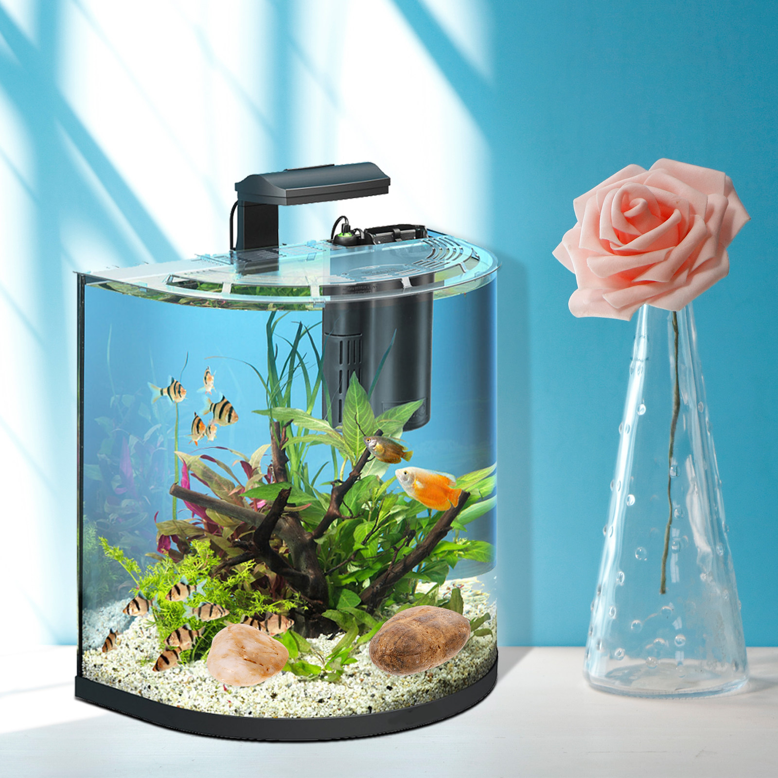 1Set Smooth Round Aquarium-Saf - مراجعة Aquarium For Planted Tank وسعره
