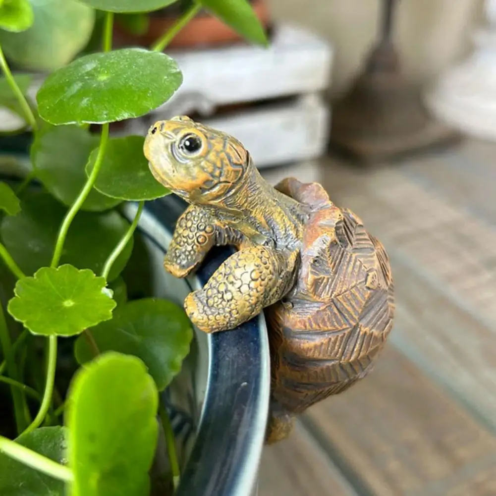 Fishing Turtle Hanging Turtle  - مراجعة Aquarium For Planted Tank وسعره
