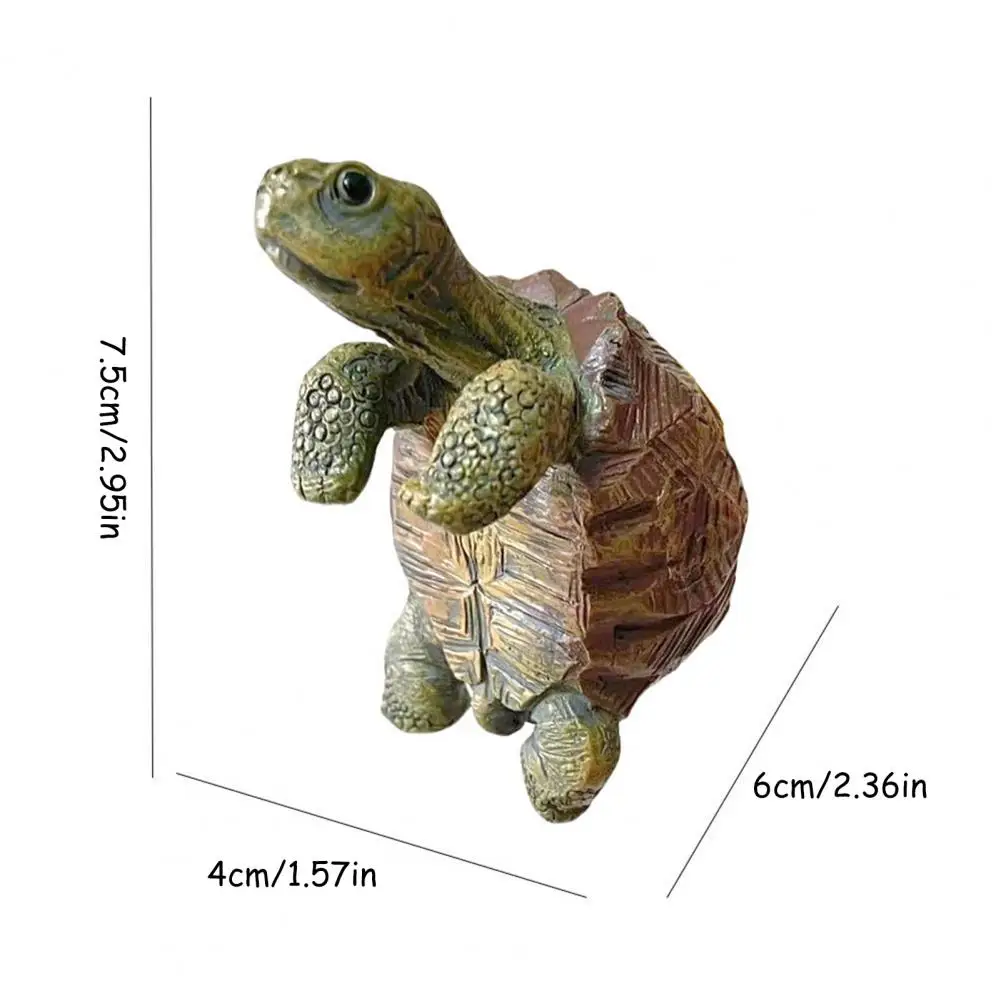 Fishing Turtle Hanging Turtle  - مراجعة Aquarium For Planted Tank وسعره