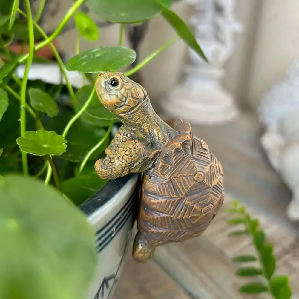 Fishing Turtle Hanging Turtle  - مراجعة Aquarium For Planted Tank وسعره