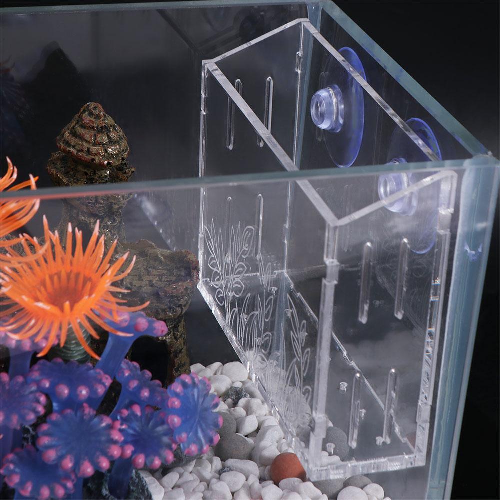 Wall Hanging Aquarium Plants C - مراجعة Aquarium Planted Wall وسعره