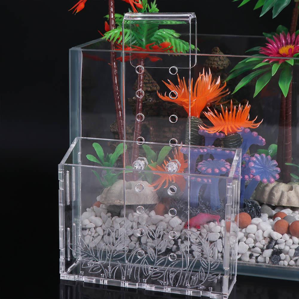 Wall Hanging Aquarium Plants C - مراجعة Aquarium Planted Wall وسعره